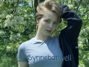 Synnebanwell