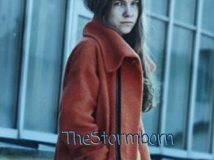 TheStormborn