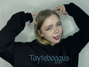 Tayteboggus
