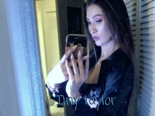 Tiny_taylor