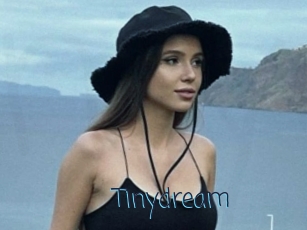 Tinydream