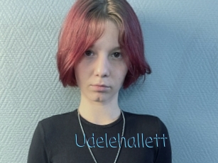 Udelehallett