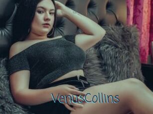 VenusCollins