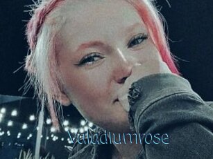 Valadiumrose