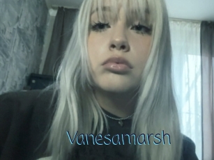 Vanesamarsh