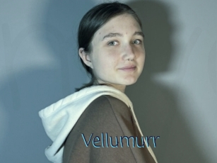 Vellumurr