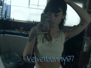 Velvetbunny97