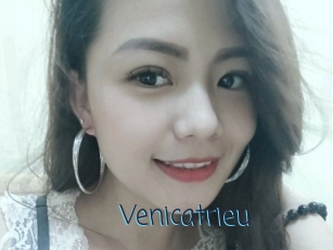Venicatrieu