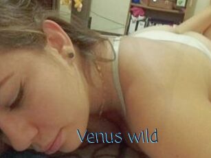 Venus_wild