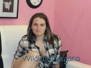 WildFataMorgana