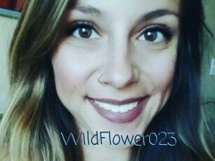 WildFlower023
