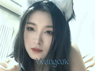 Wangcuic