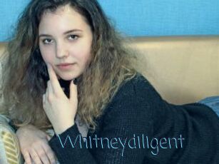 Whitneydiligent