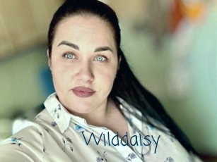 Wilddaisy