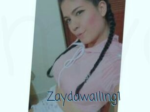 Zaydawailing1